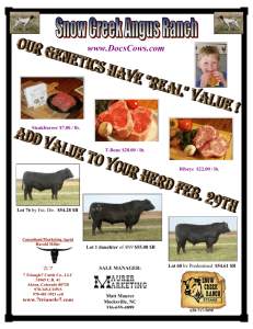 Snow Creek Angus Ranch Our Genetics Have "REAL" Value !add