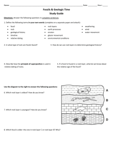 Fossils & Geologic Time Study Guide