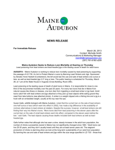 Maine Audubon Seeks to Reduce Loon Mortality at