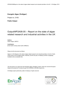 UK Algae Market Assessment - AIN – The Algal Information Network!
