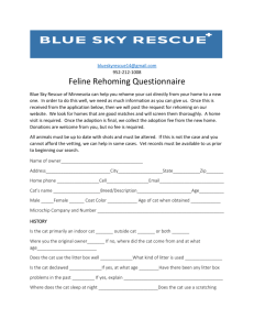 Feline Rehoming Questionnaire