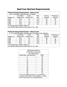 Beef Cattle Nutrient Requirements