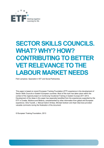 What is a sector skills council?