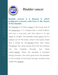Stage I Bladder Cancer