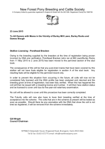 Pondhead Bracken statement to Mill Lawn Mare Owners
