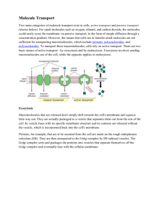 Molecule Transport note