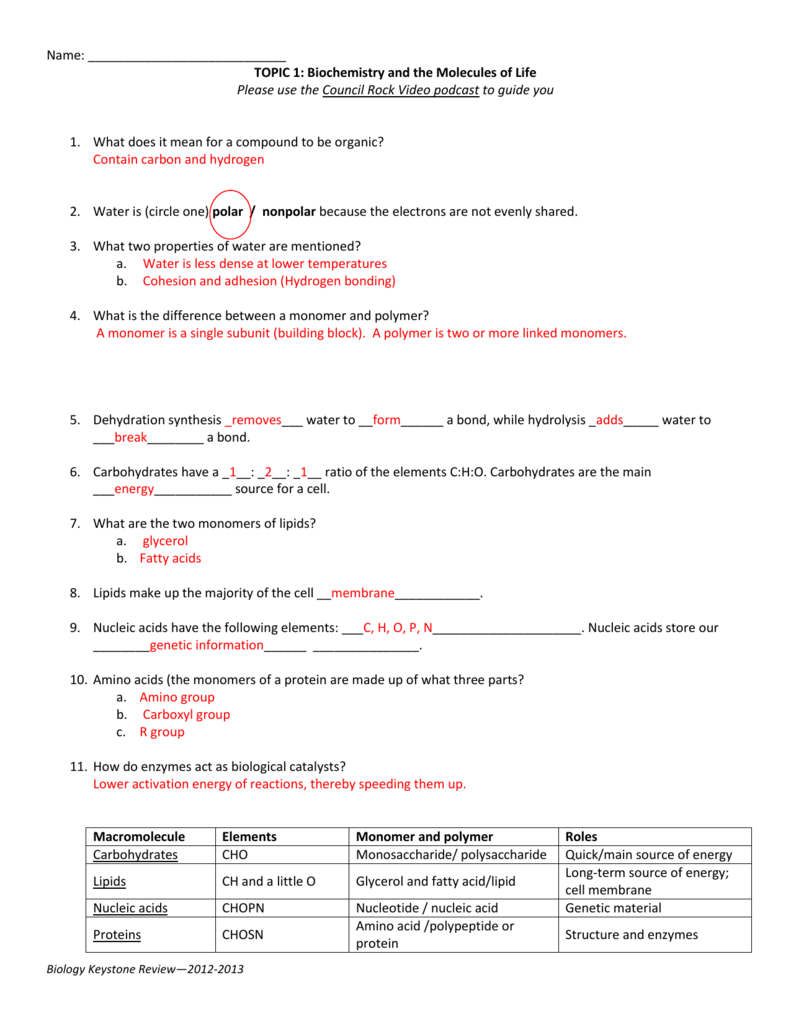 30 Building Monomers Of Macromolecules Worksheet Answers support