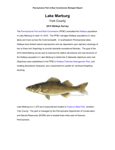2015 Walleye Survey - Friends of Codorus State Park