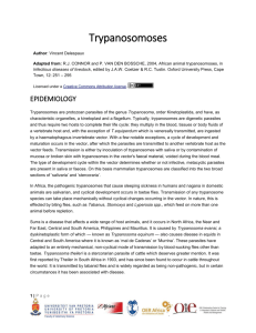 trypanosomoses_2_epidemoiology