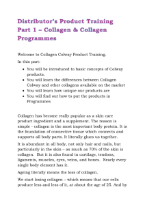 Basic Programme - Collagen Colway