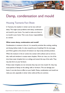 Damp, Condensation and Mould - Plain English