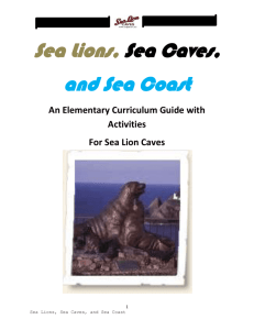 An Elementary Curriculum Guide with Activities