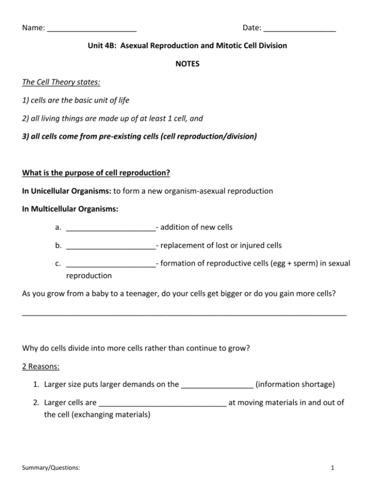 The Immortal Hela Cells Worksheet Answers