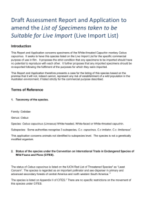 Draft assessment report on the import of Cebus capucinus (White
