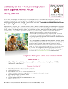Saturday, October 26 - Saving Grace Animals for Adoption