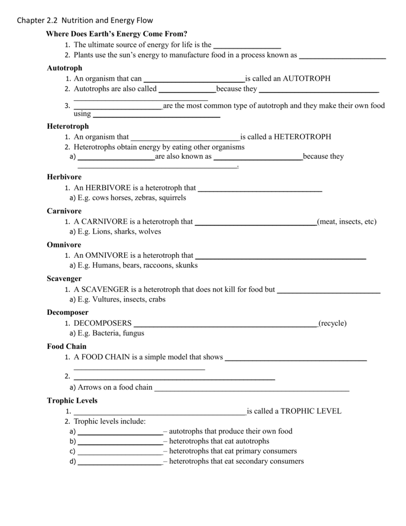 Chapter 11.11 Nutrition and Energy Flow For Energy Flow Worksheet Answers