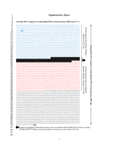 Supplementary figure Genomic DNA sequence of cold