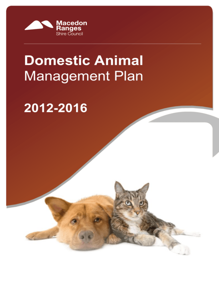 animal management personal statement