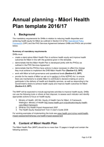 Consultation Draft Māori Health Plan Guidance