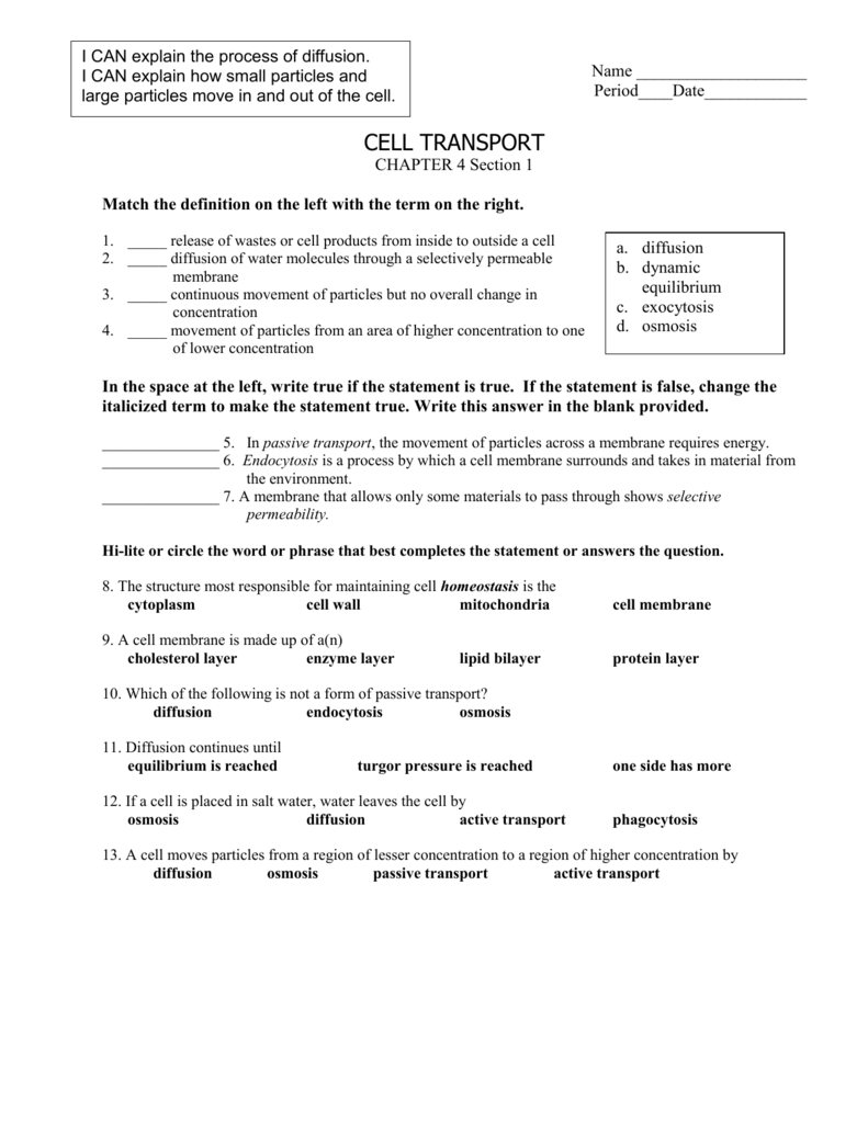 CELL TRANSPORT WORKSHEET Within Transport In Cells Worksheet Answers