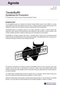 TenderBuff - Guidelines for Production