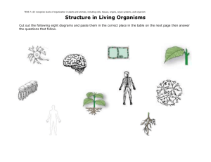 Structure and Function in Living Organisms