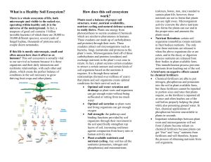 Healthy Soil Ecosystem Brochure part 1