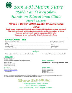 2015 March Hare Rabbit and Cavy Show