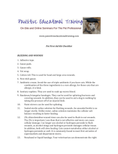 www.pawsitiveeducationaltraining.com Pet First Aid Kit Checklist