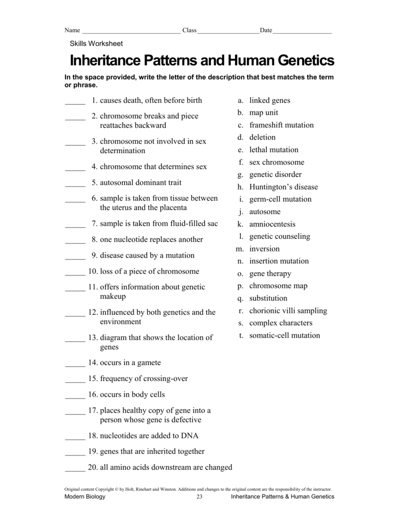 36 Patterns Of Heredity And Human Worksheet Answers support