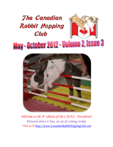 This issue`s featured bunny is Spyro!