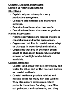 NOTES: Chapter 7.2 - Marine Ecosystems