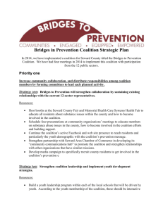 Bridges to Prevention Coalition Strategic Plan