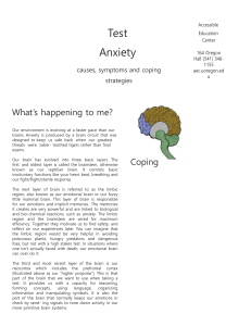 Anxiety Handout copy - Accessible Education Center