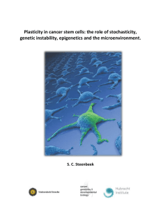 Chapter 3.2 The role of genetic instability and epigenetics on CSC