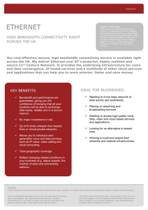 Wholesale Ethernet White Label Datasheet (Design)