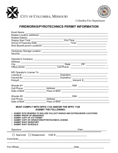 Fireworks Permit Application