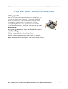 Floppy Heart Valves Challenge Question Handout