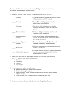 Supplemental File S6. Cell Engineer-Examples of cell structure and