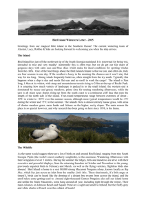 Bird Island winter letter 2015
