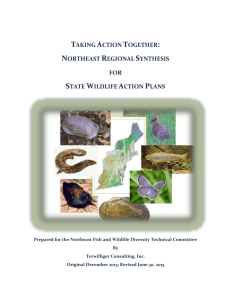 Northeast Regional Conservation Synthesis