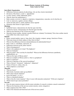 Examples Writing Dbq Essay Example Of Essay Writing In English also Essay On Healthy Eating Research Papers In Accounting Year English Essay On Terrorism