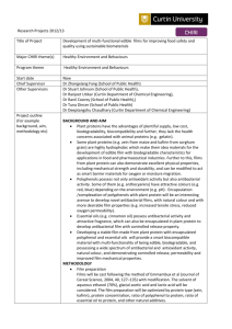 Research Projects 2012/13 Title of Project Development of multi