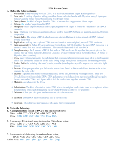 DNA Review Guide2011 Answers