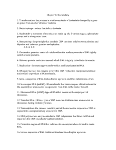 Chapter 12 Vocabulary 1. Transformation