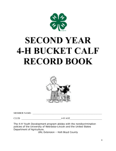 Second Year Bucket Calf Record Book