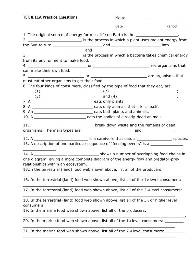TEK 8 11A Practice Questions