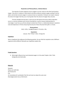 Respiration and Photosynthesis Lab