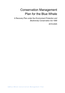Conservation management Plan for the Blue Whale
