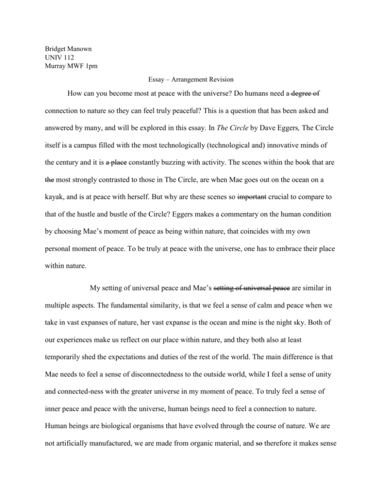 essay about connections